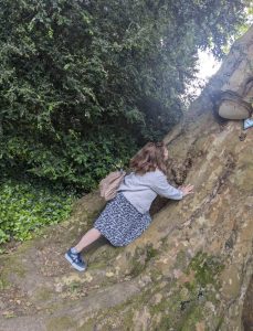 Yaralayan Öğretir kapak