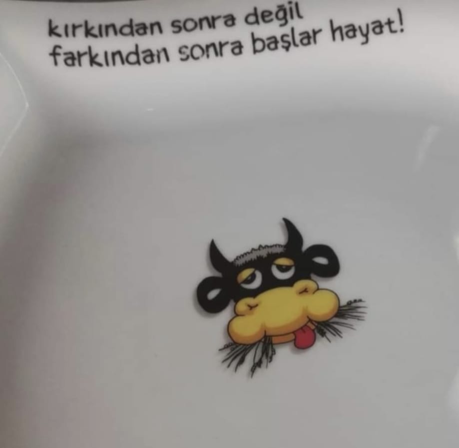 Yaralayan Öğretir görsel 3