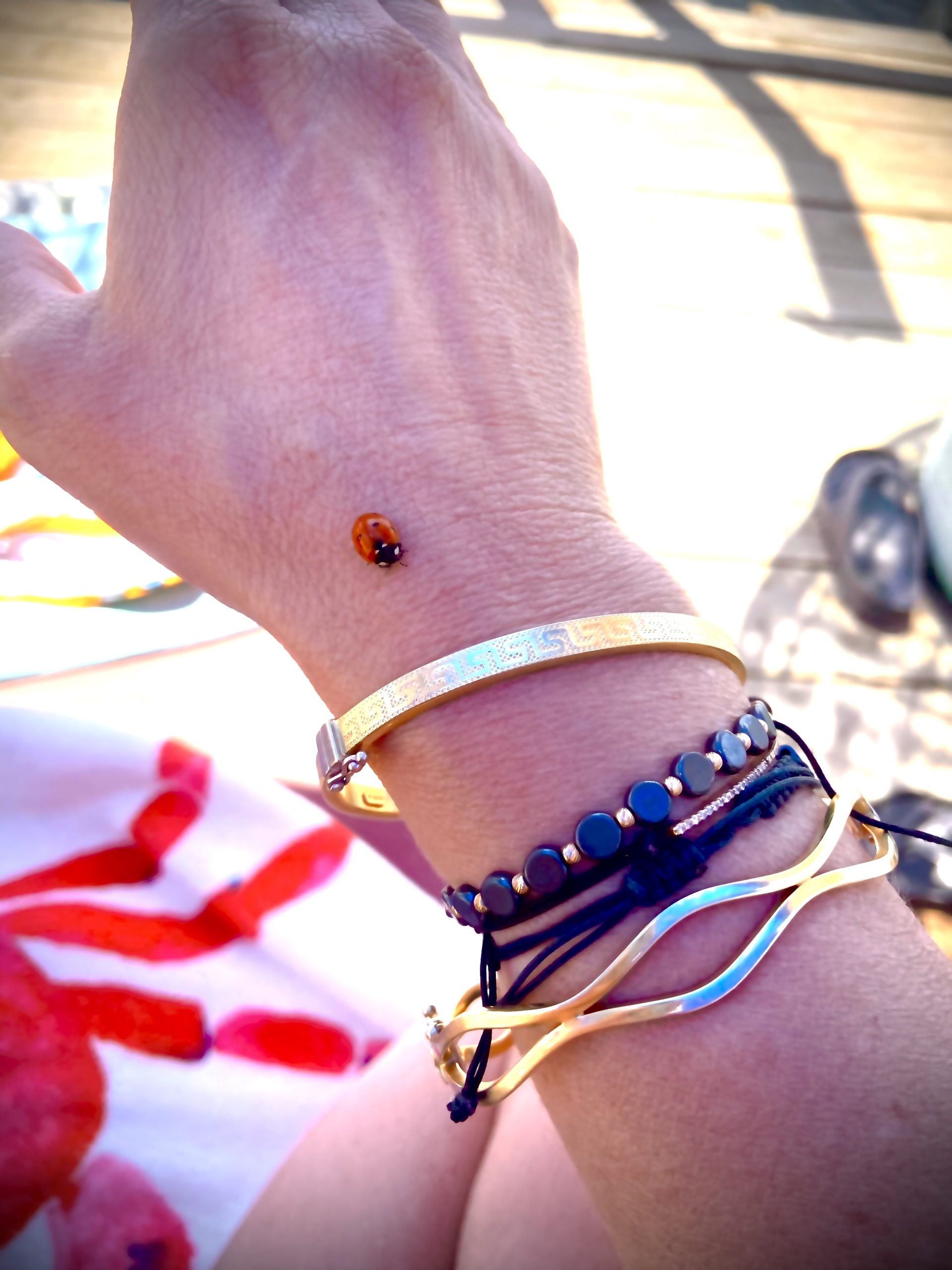 Küs çiçeği kalbim