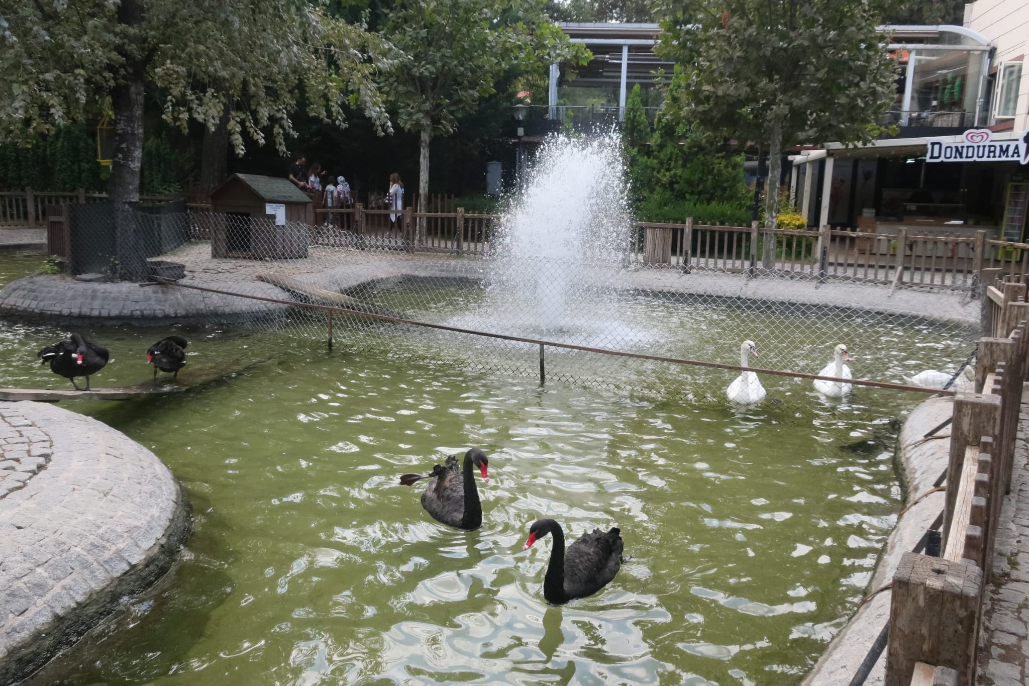 SUSKUNLUĞUN SÖZLERİ